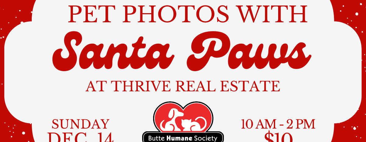 Pet Photos with Santa benefitting Butte Humane Society